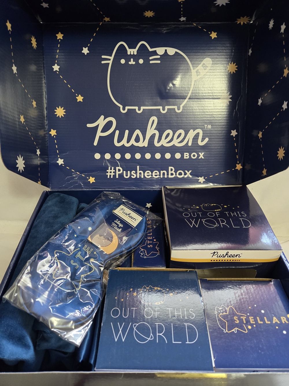 Pusheen Fall 2020 Subscription Box - Picture 2 of 5
